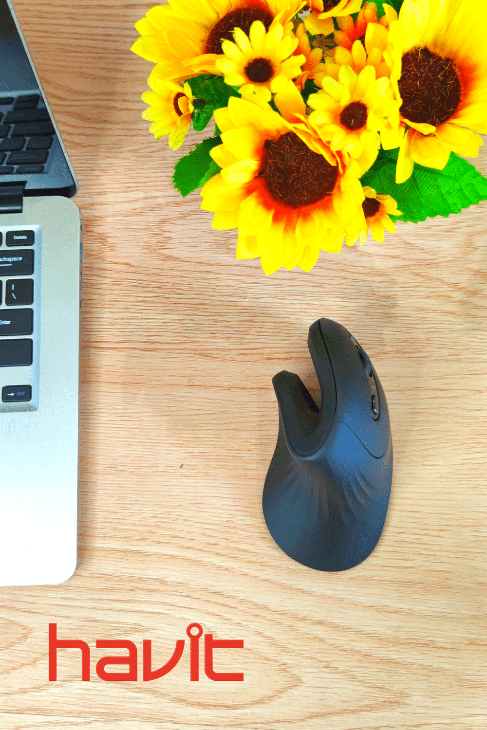 HAVIT HV-MS55GT Wireless Vertical Mouse with Ergonomic Design, Optical