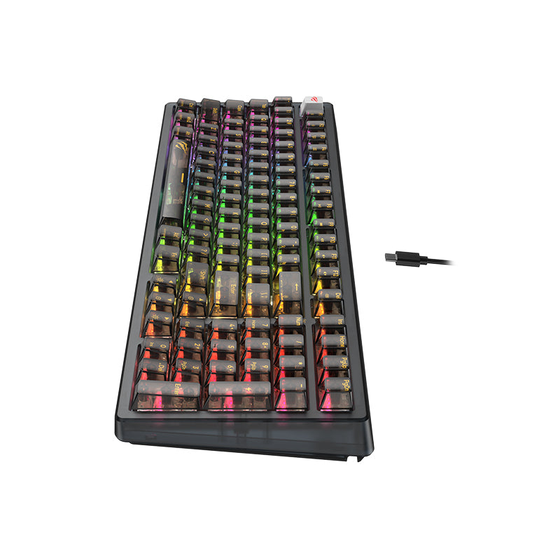 HAVIT KB489L TKLメカニカルキーボード（87キー付き）LEDレインボーバックライト付き