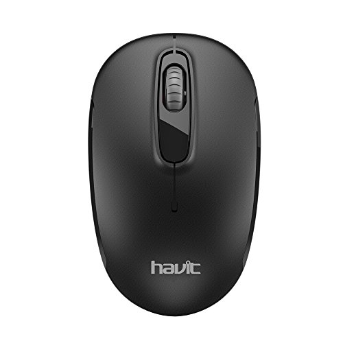 HAVIT HV-MS958GT 2.4G Ambidextrous Wireless Mouse for PC / Computer / Laptop with 15m Range